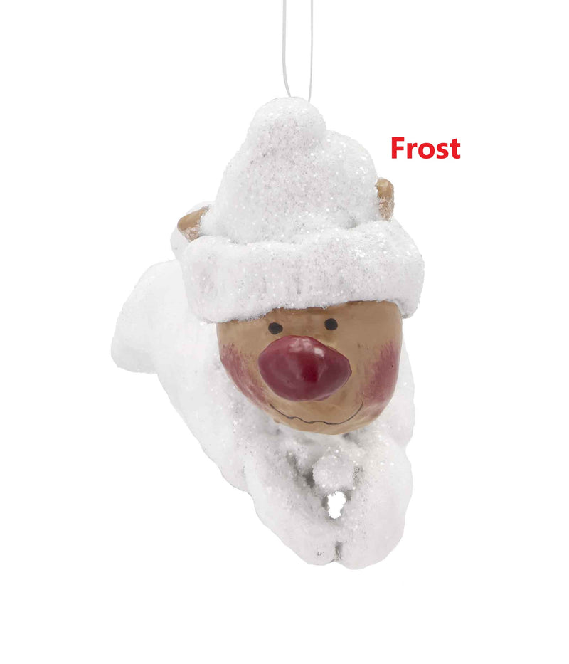 MEDUSA RUDOLF BABY FROST - 2024