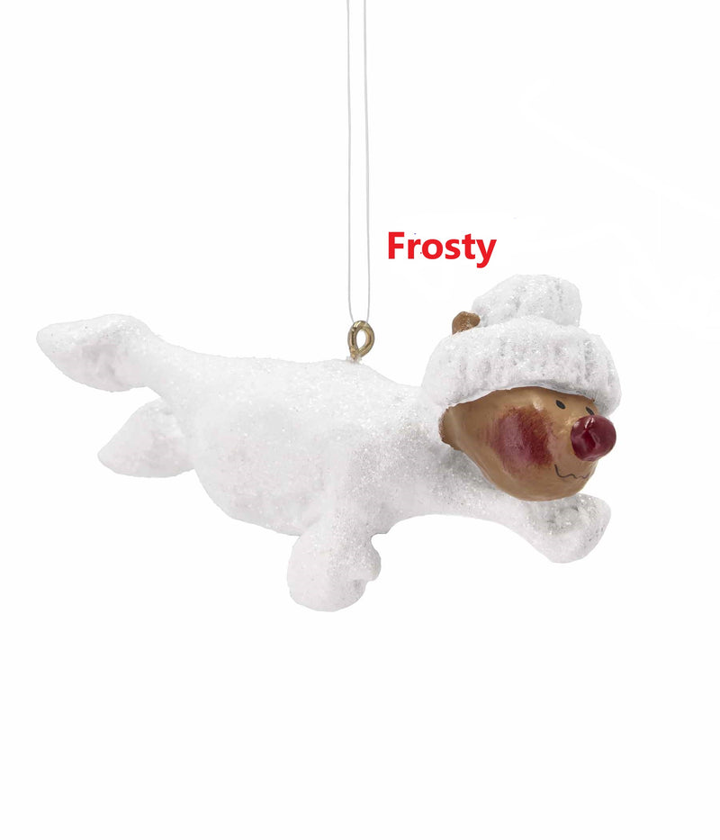 MEDUSA RUDOLF BABY FROSTY - 2024